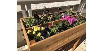 Nous commençons le printemps tout en couleur chez Emergence Coworking